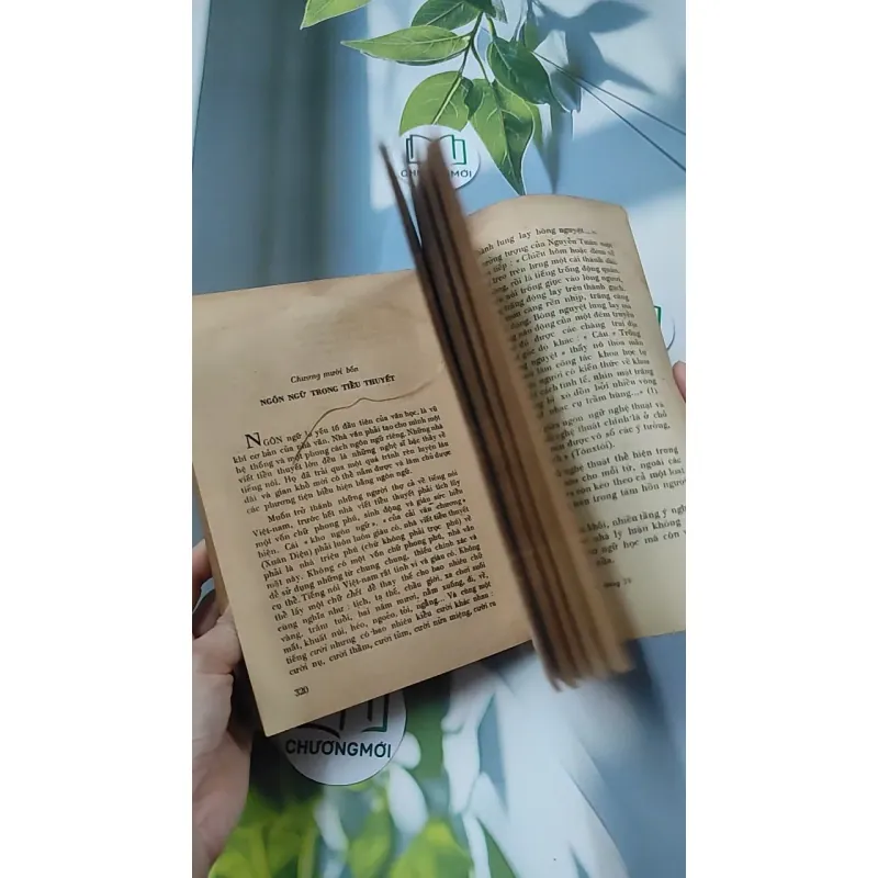 [MIỄN PHÍ BỌC SÁCH] [XƯA] Tiểu Thuyết Việt Nam Hiện Đại 2 (1978) - Phan Cự Đệ 776017