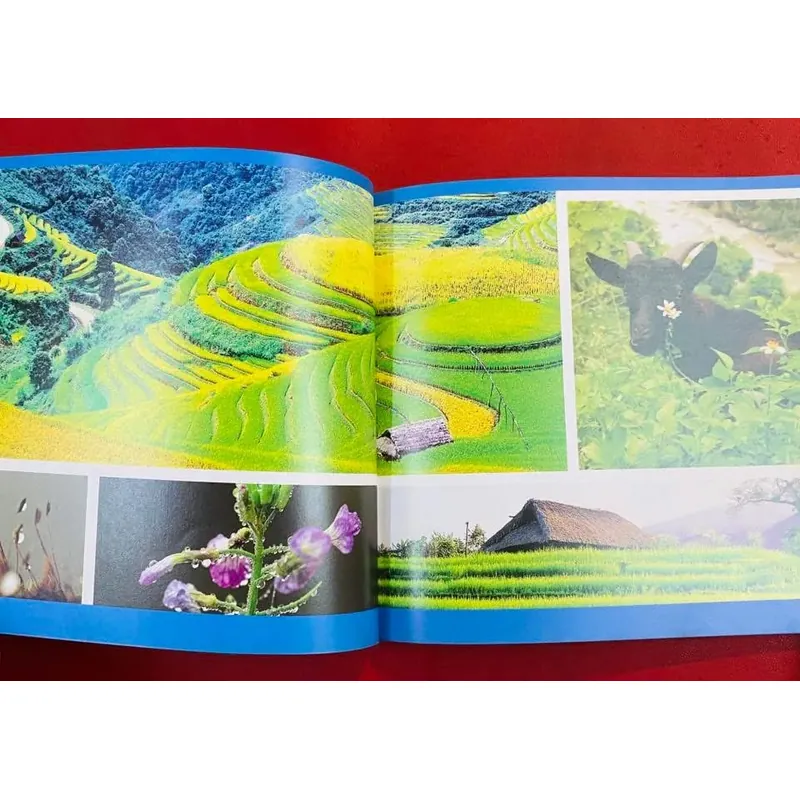 Tây Bắc Việt Nam 591003