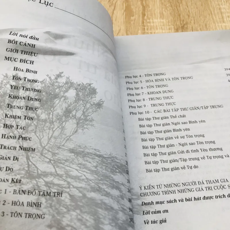 Những Giá Trị Sống Cho Tuổi Trẻ – Diane Tillman 929187