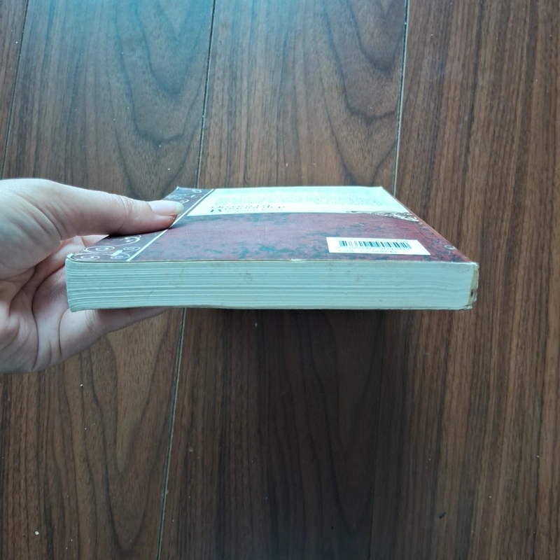 Quyến rũ người đẹp 504992