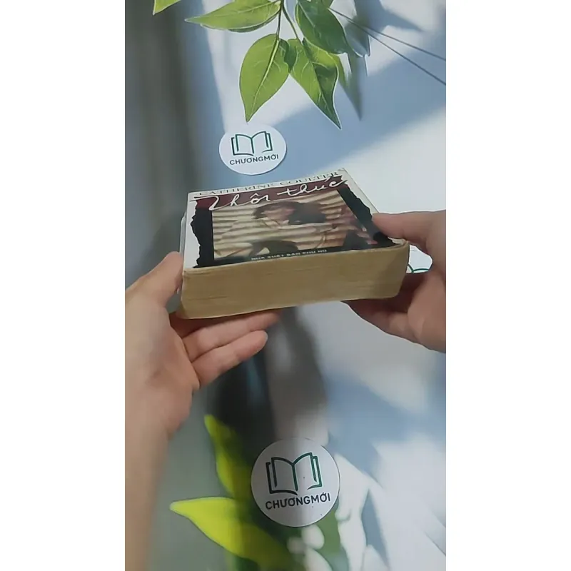 Thôi thúc - Catherine Coulter 695011