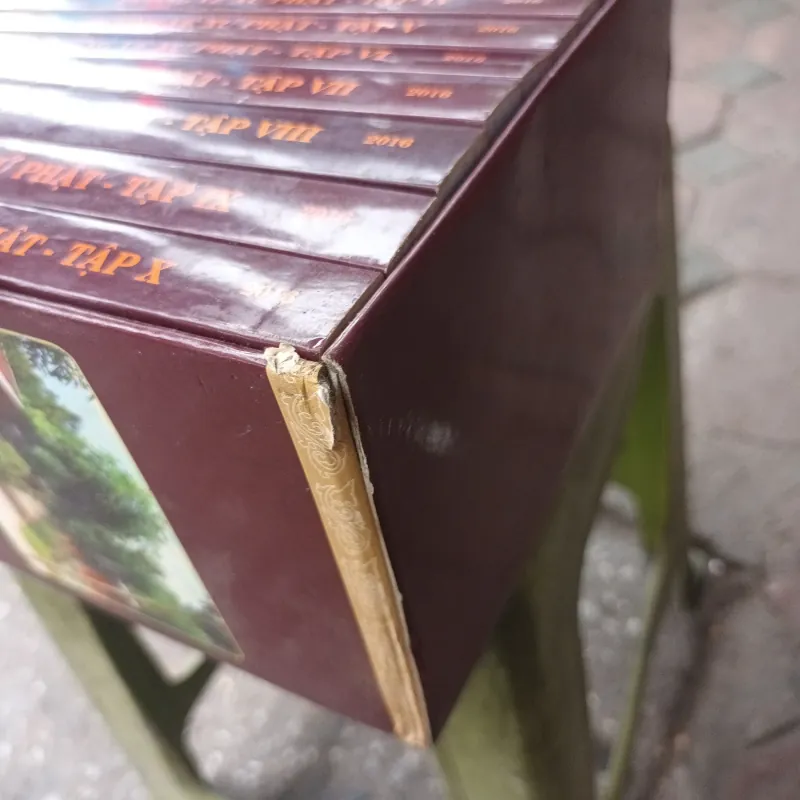 Bộ Đường Về Xứ Phật 10 tập kèm box - Trưởng Lão Thích Thông Lạc 800424