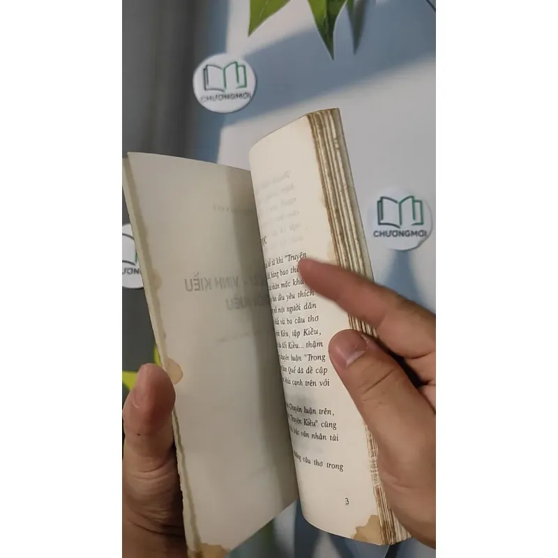 Bói Kiều - Phạm Đan Quế 798313