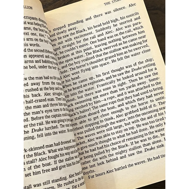 The Black Stallion 972887