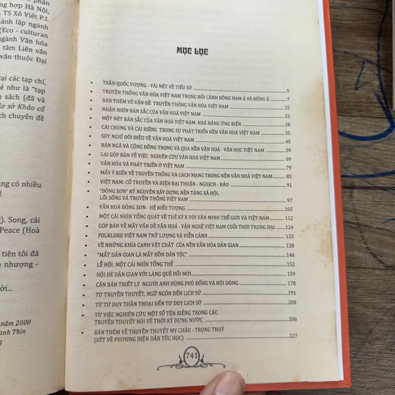 Văn hóa Việt Nam 699344