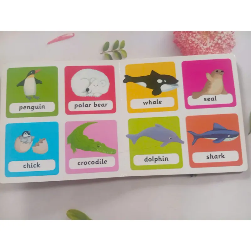 Canada ABC 1036261
