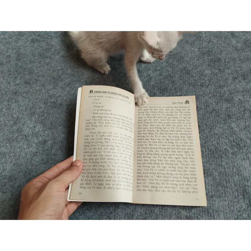 DƯỜNG NHƯ TA KHÔNG CÒN BÉ NỮA - THU TRÂN 567798