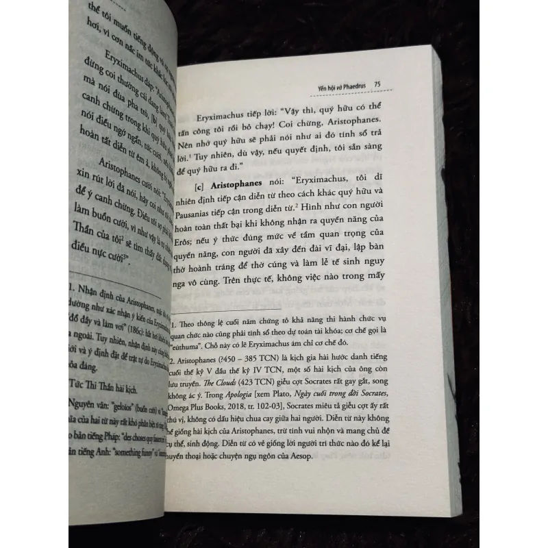 Yến Hội - Plato 994934