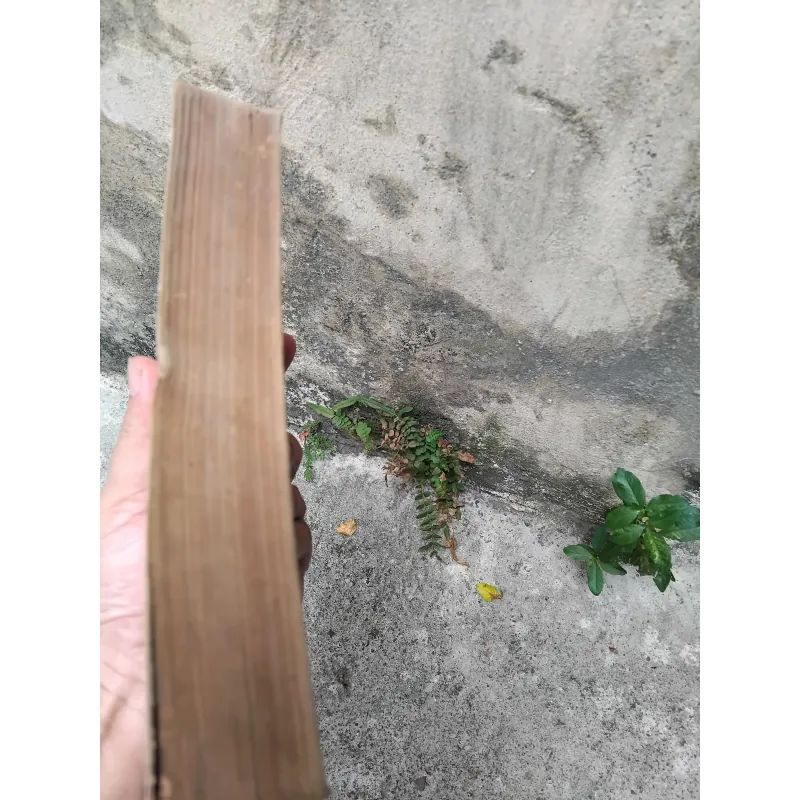 Về vấn đề xác định thành phần các dân tộc thiểu số ở miền Bắc Việt Nam  1019173