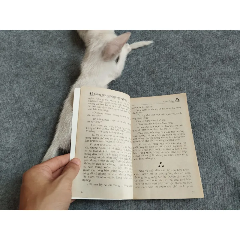 DƯỜNG NHƯ TA KHÔNG CÒN BÉ NỮA - THU TRÂN 567798
