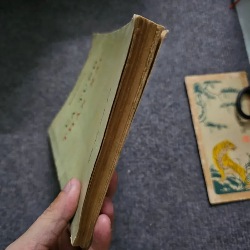 Ca tụng thân xác - nguyễn văn trung 748976