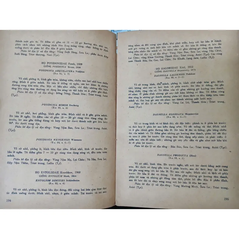 HÓA THẠCH ĐẶC TRƯNG Ở MIỀN BẮC VIỆT NAM 687720