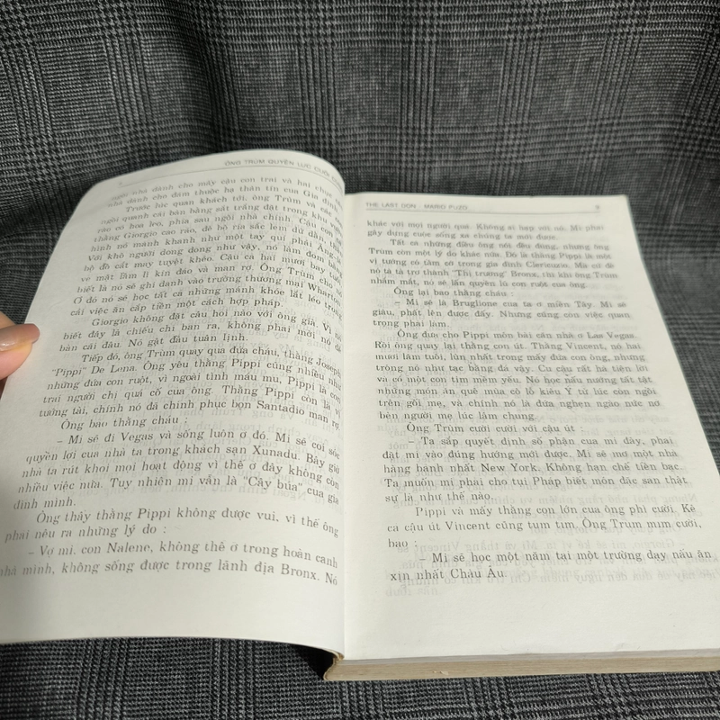 Ông trùm quyền lực cuối cùng (Hậu Bố Già) - Mario Puzo 543692