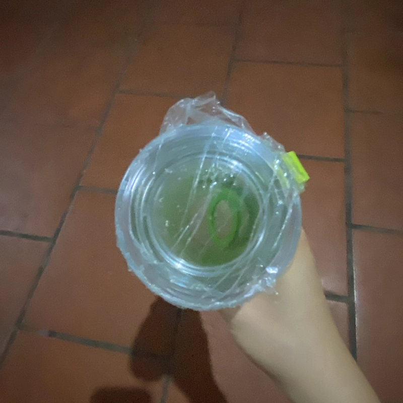 10 Bình nước 500ml 469077