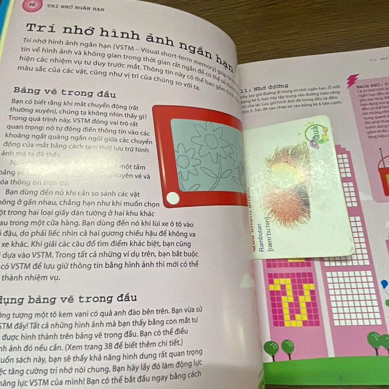 Tối ưu hoá trí nhớ bằng phương pháp hình ảnh TS Pascale Michelon 358787