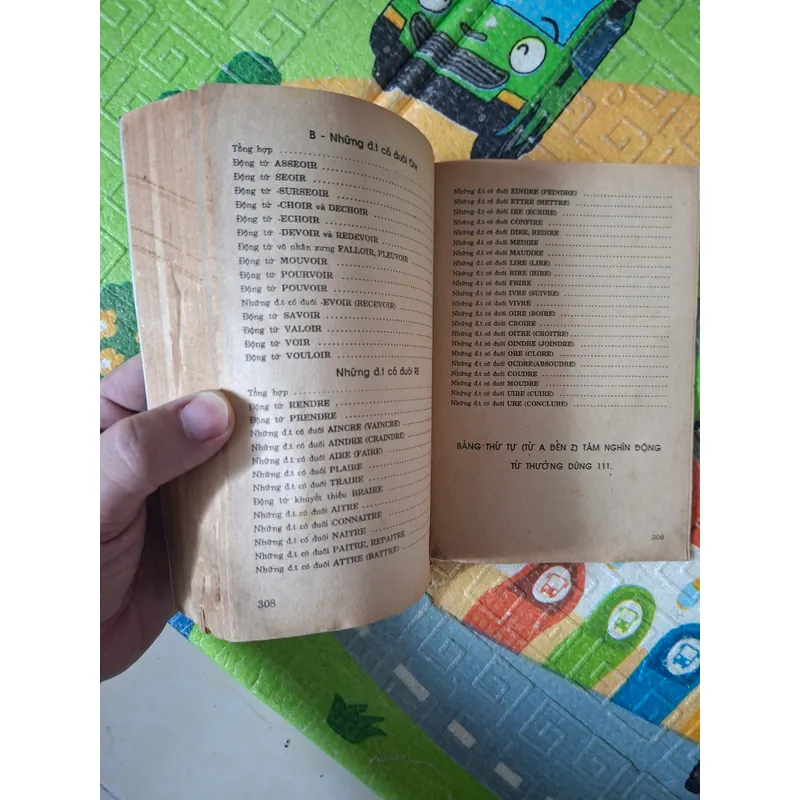 Chia & Sử Dụng Động Từ Tiếng Pháp 1063346