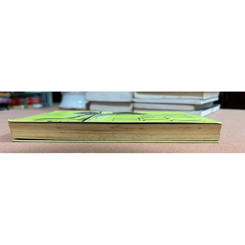 Cánh đồng bất tận 🌊 594970