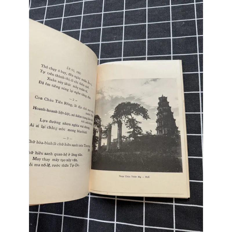 Tiếng hát Xuân Hương 601751