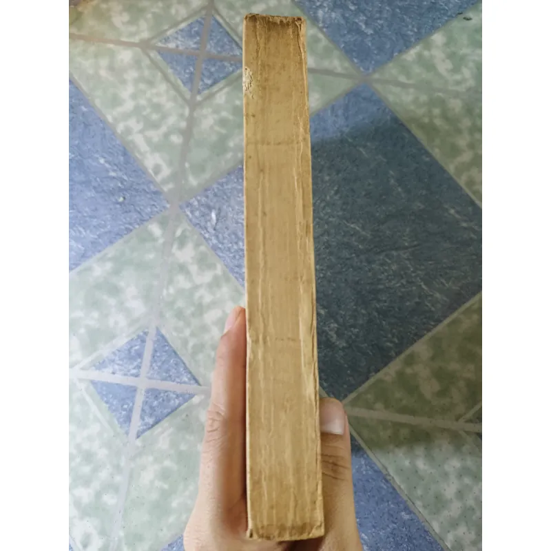 Chăm sóc sức khỏe - David Werner 740683