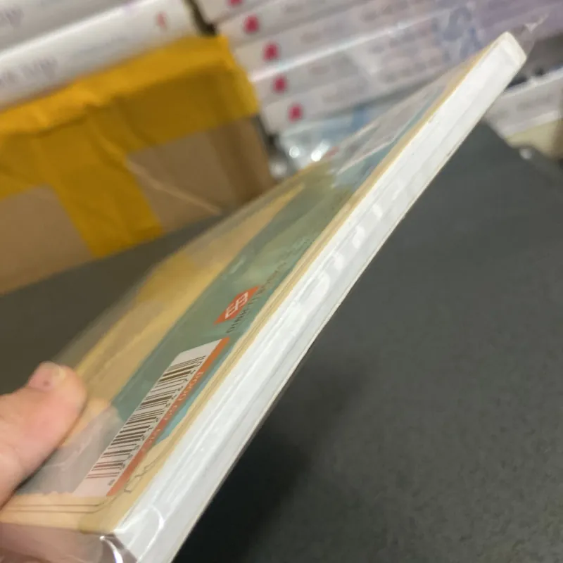 (Văn học) - Búp bê Raggedy Ann - Johnny Gruelle 977457