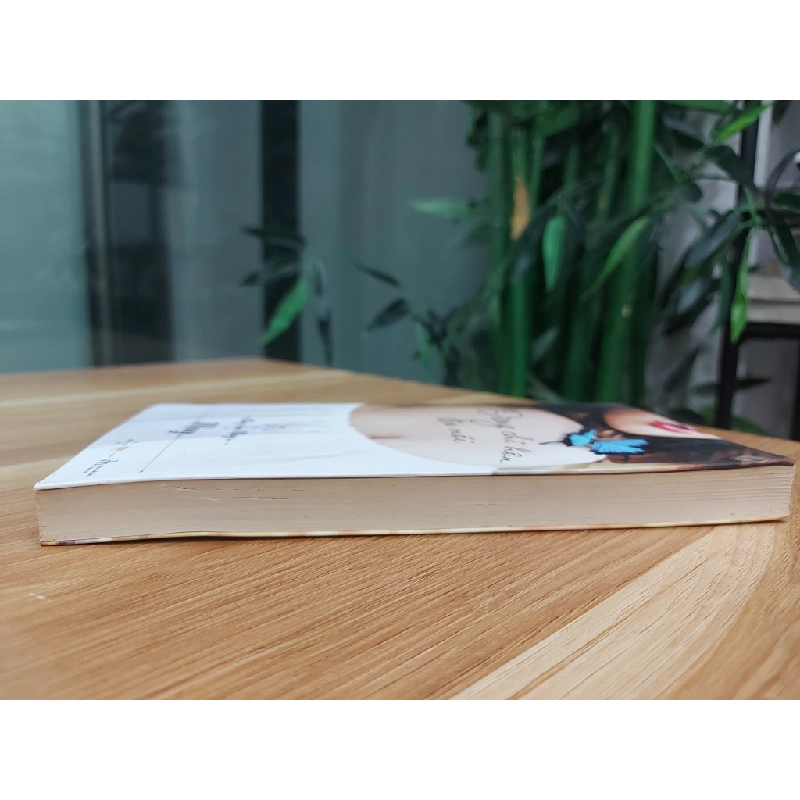 Blog của May – Đừng chỉ hôn lên môi 550517