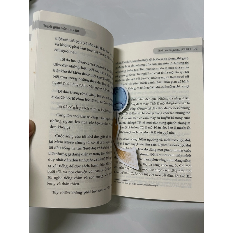 Tuyết giữa mùa hè 468718