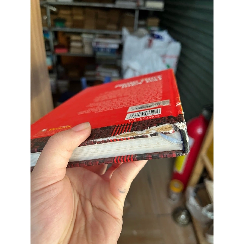 Mỹ thuật trong thiết kế và xây dựng nhà ở theo phong thủy hiện đại - Lý Liên Tú 509295