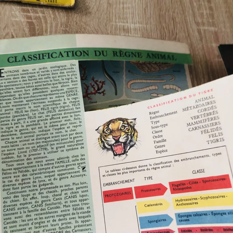 TẠP CHÍ TOUT L’UNIVERS – 1962 (2) 1017498