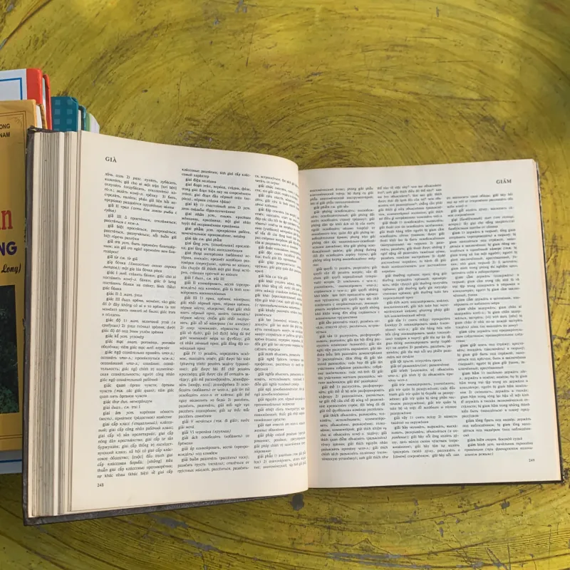 TỪ ĐIỂN VIỆT - NGA 1992 1009003