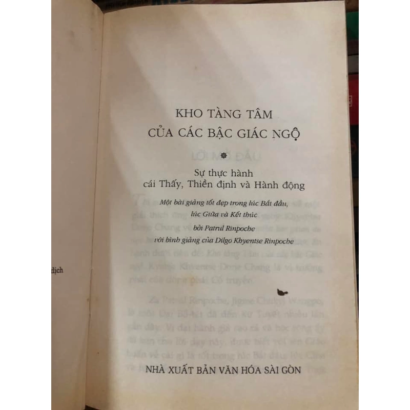 Kho tàng tâm của các bậc giác ngộ - Dilgo Khyentse Rinpoche 306638