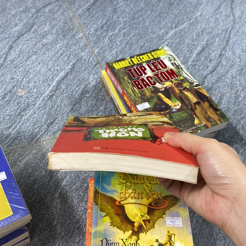Sách văn học thương hồn Lư Tân Hoa 529514