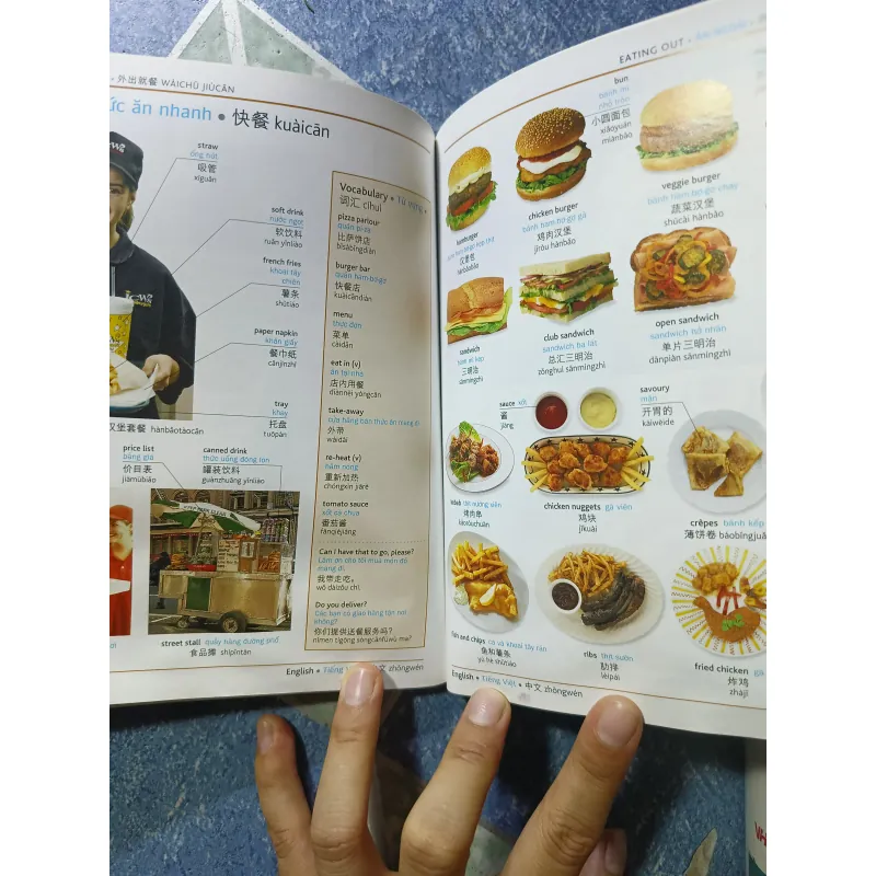 Visual - English Vietnamese Chinese - Trilingual dictionary 1004836