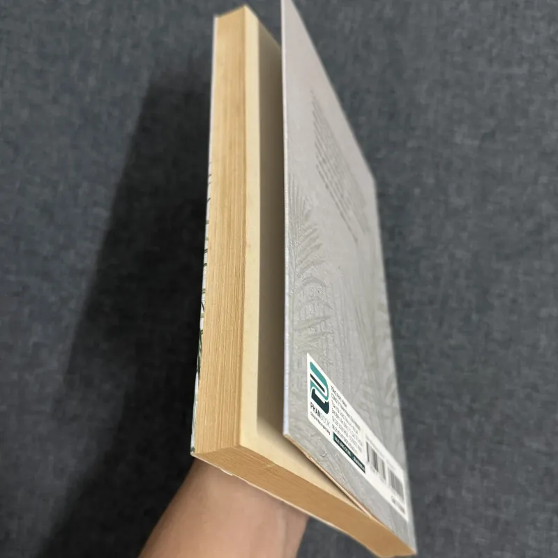 Khói un chiều - Trần Bảo Định (Có chữ ký) 761062