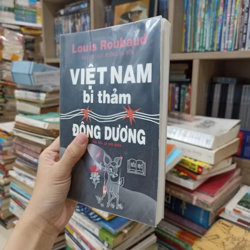 Việt Nam bi thảm Đông Dương 🌻 750605