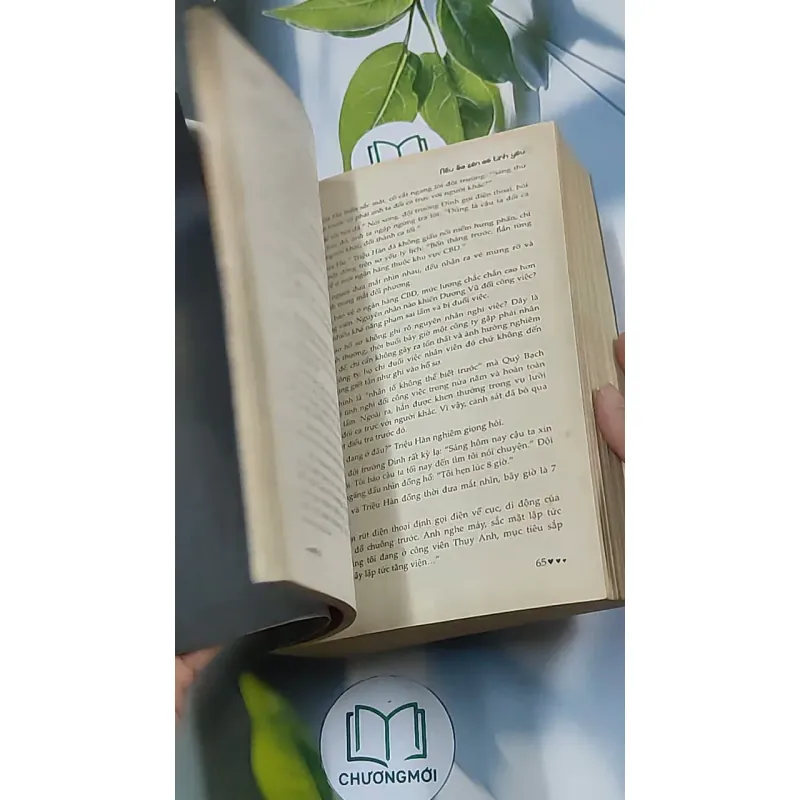 Nếu ốc sên có tình yêu - Đinh Mặc 688711