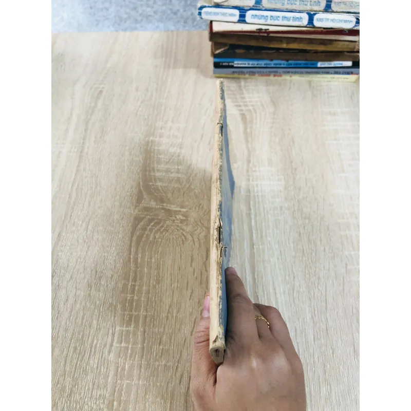 ĐỊA LÝ THÀNH PHỐ HỒ CHÍ MINH  928991