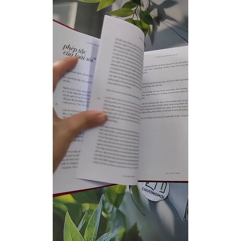 Em - Liêu Hà Trinh 990080