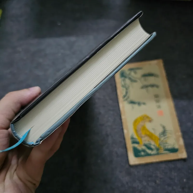 Nếu một đêm đông có người lữ khách ( bìa cứng, có ck dịch giả) - Italo 733058