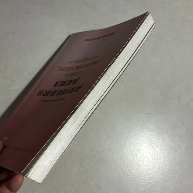 Tài liệu Bồi dưỡng bí thư chi bộ và cấp ủy viên ở cơ sở 783236