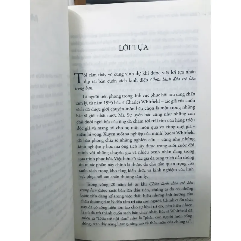 Chữa lành Đứa trẻ bên trong bạn 706880