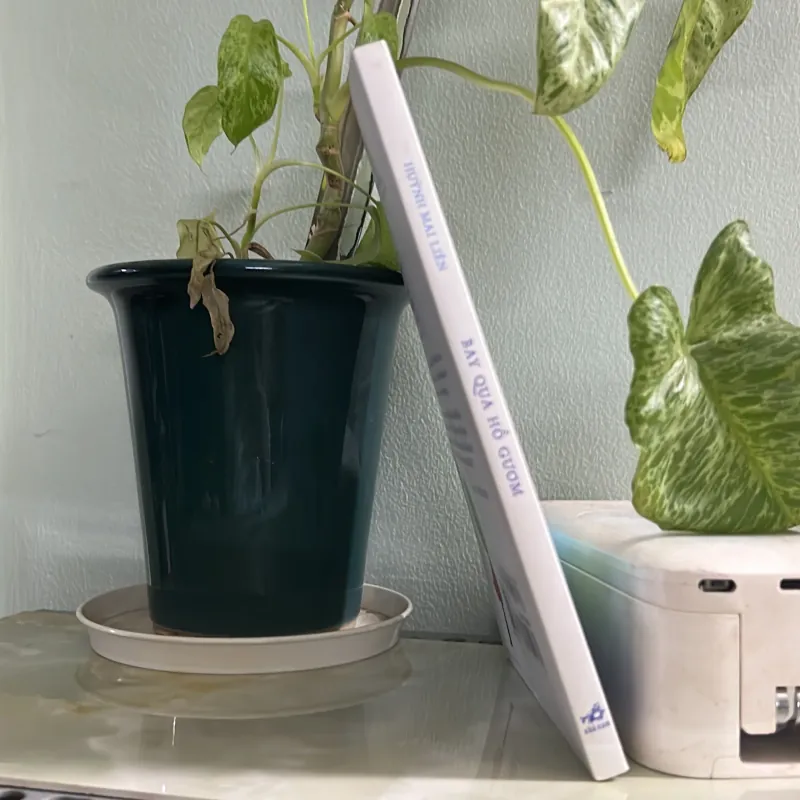 Bay qua hồ gươm - Huỳnh Mai Liên 746461