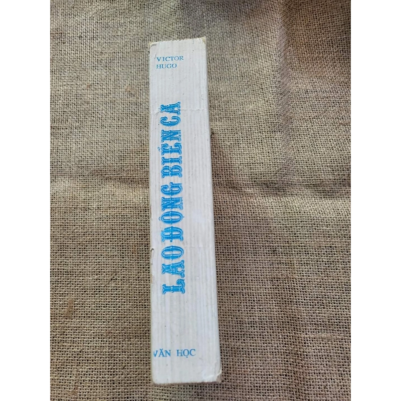 Lao động biển cả | Victor Hugo 317734