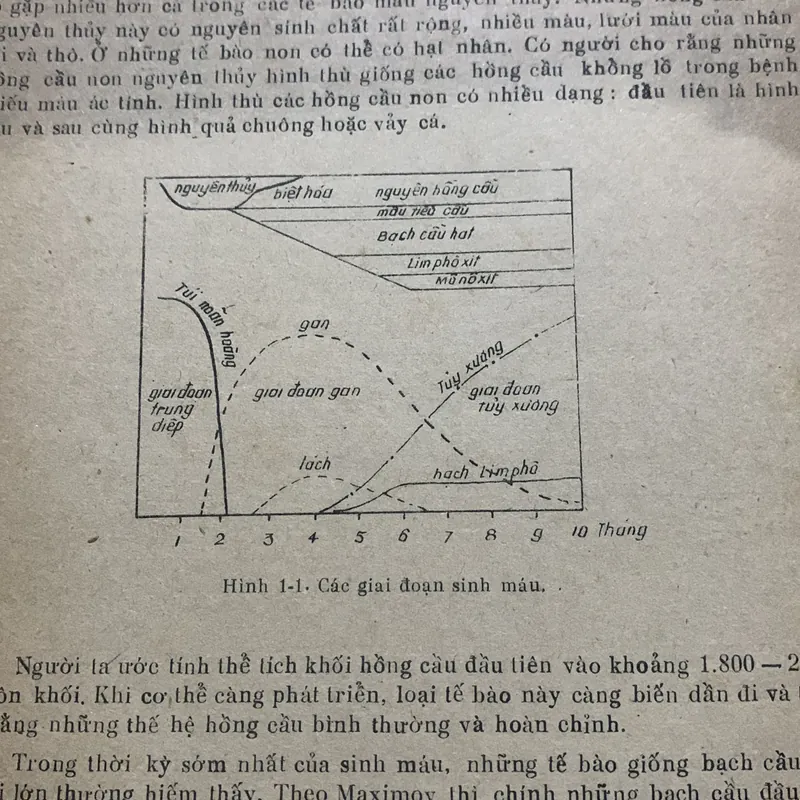 Huyết học, NXB Y học 611913