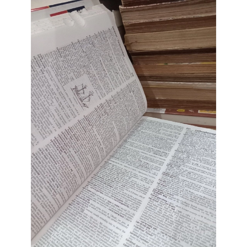 Webster's new world College dictionary 778051