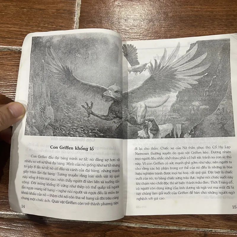 Những quái vật thần bí  (7) 928137