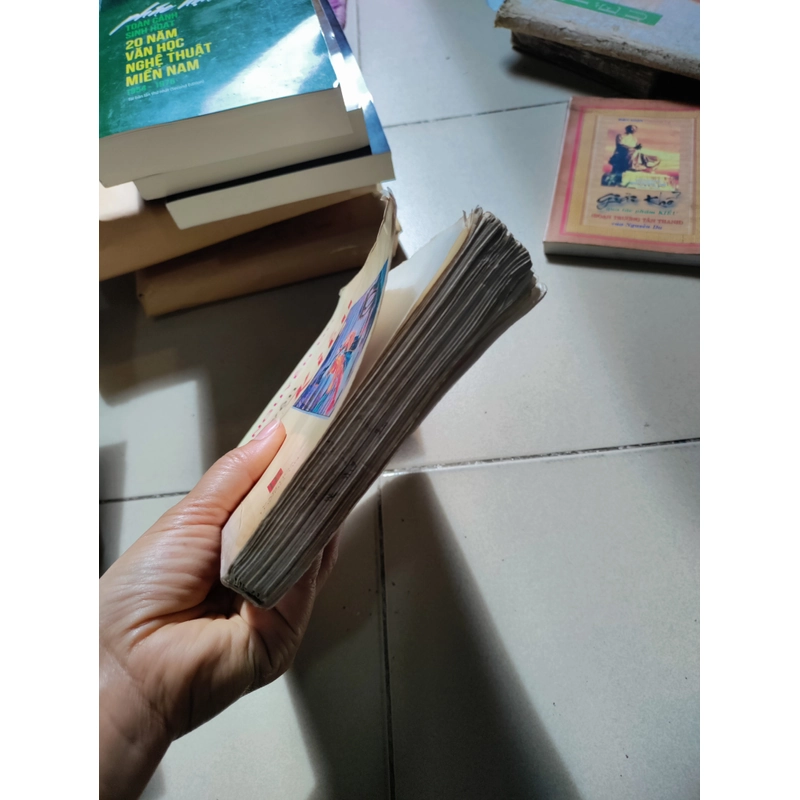 Nguyễn du truyện kiều 462926