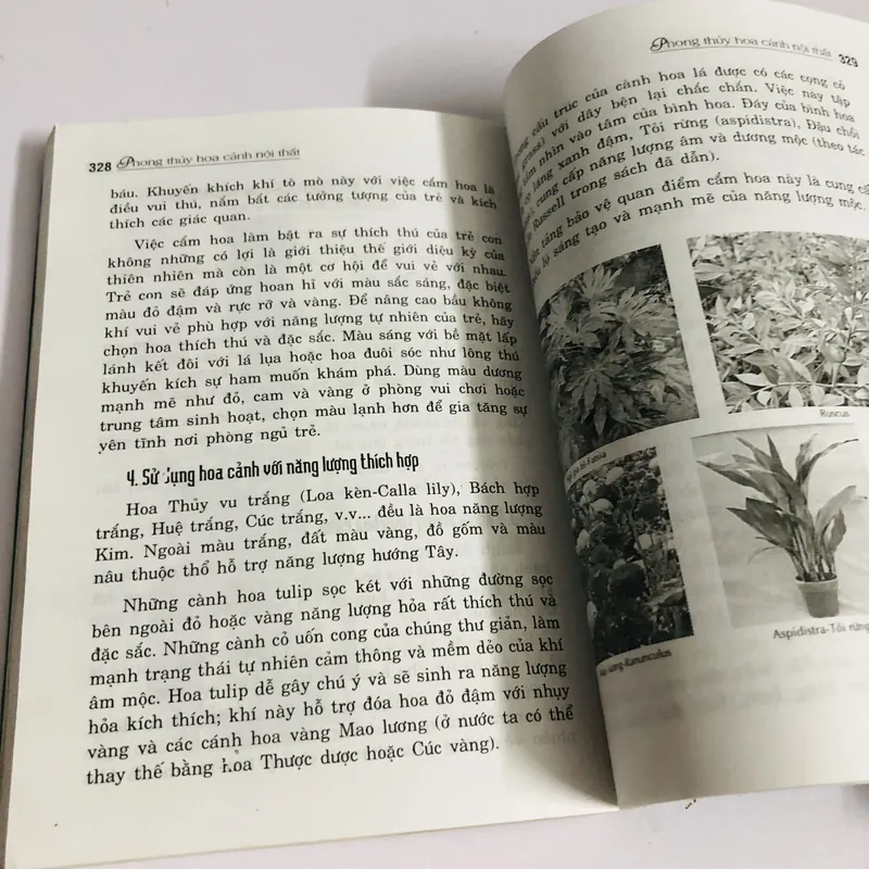 PHONG THUỶ HOA CẢNH NỘI THẤT 598057