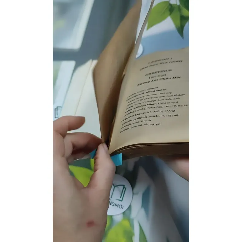 Tiếng Anh Thực Dụng Dễ Học 727293