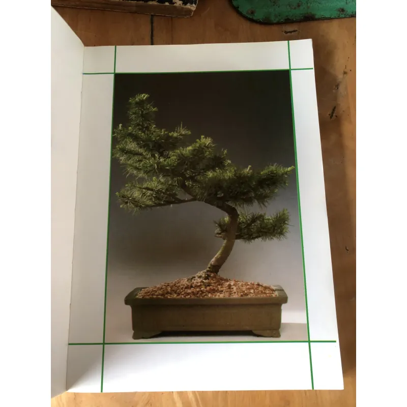 Chăm sóc tạo dáng bonsai toàn tập 973617