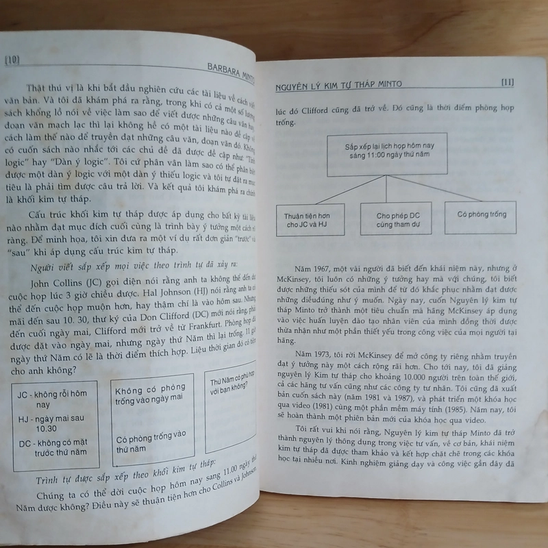 Nguyên Lý Kim Tự Tháp Minto - Babara Minto 477804